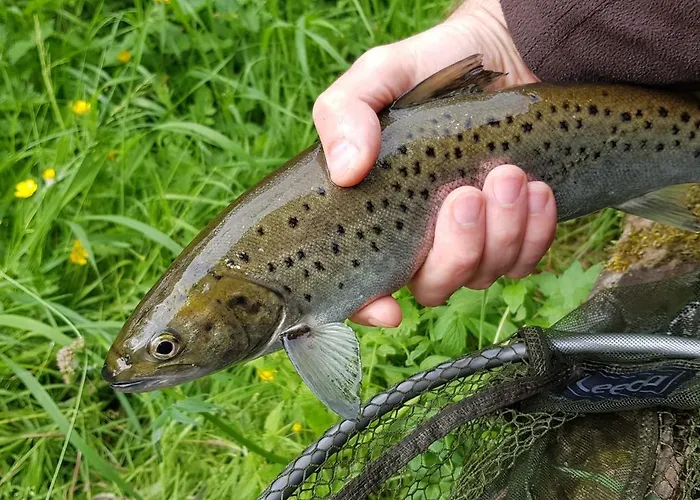Ferienhaus The Old Mill, Argideen River