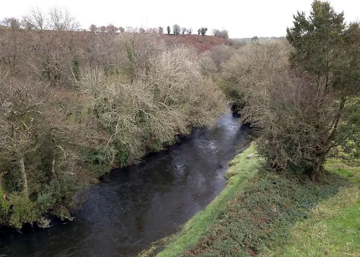 The Old Mill, Argideen River Ferienhaus Timoleague